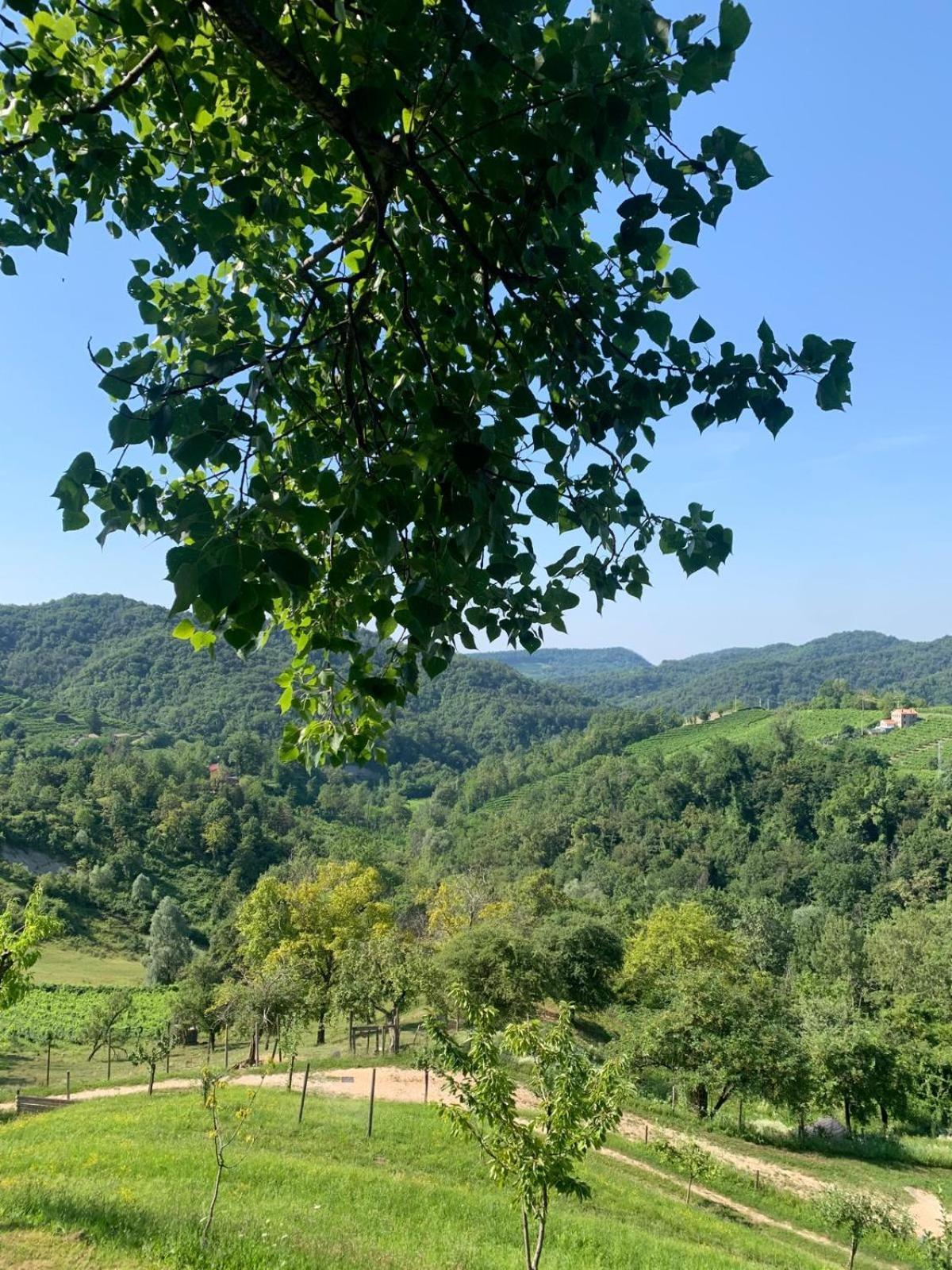 Agriturismo Le Noci Tarzo Eksteriør bilde