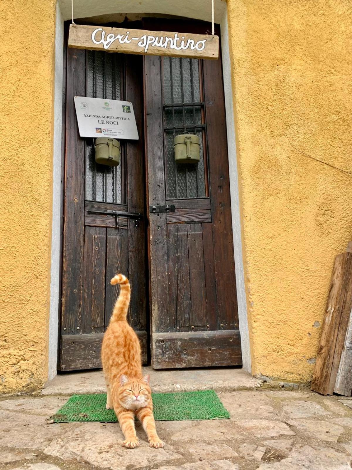 Agriturismo Le Noci Tarzo Eksteriør bilde