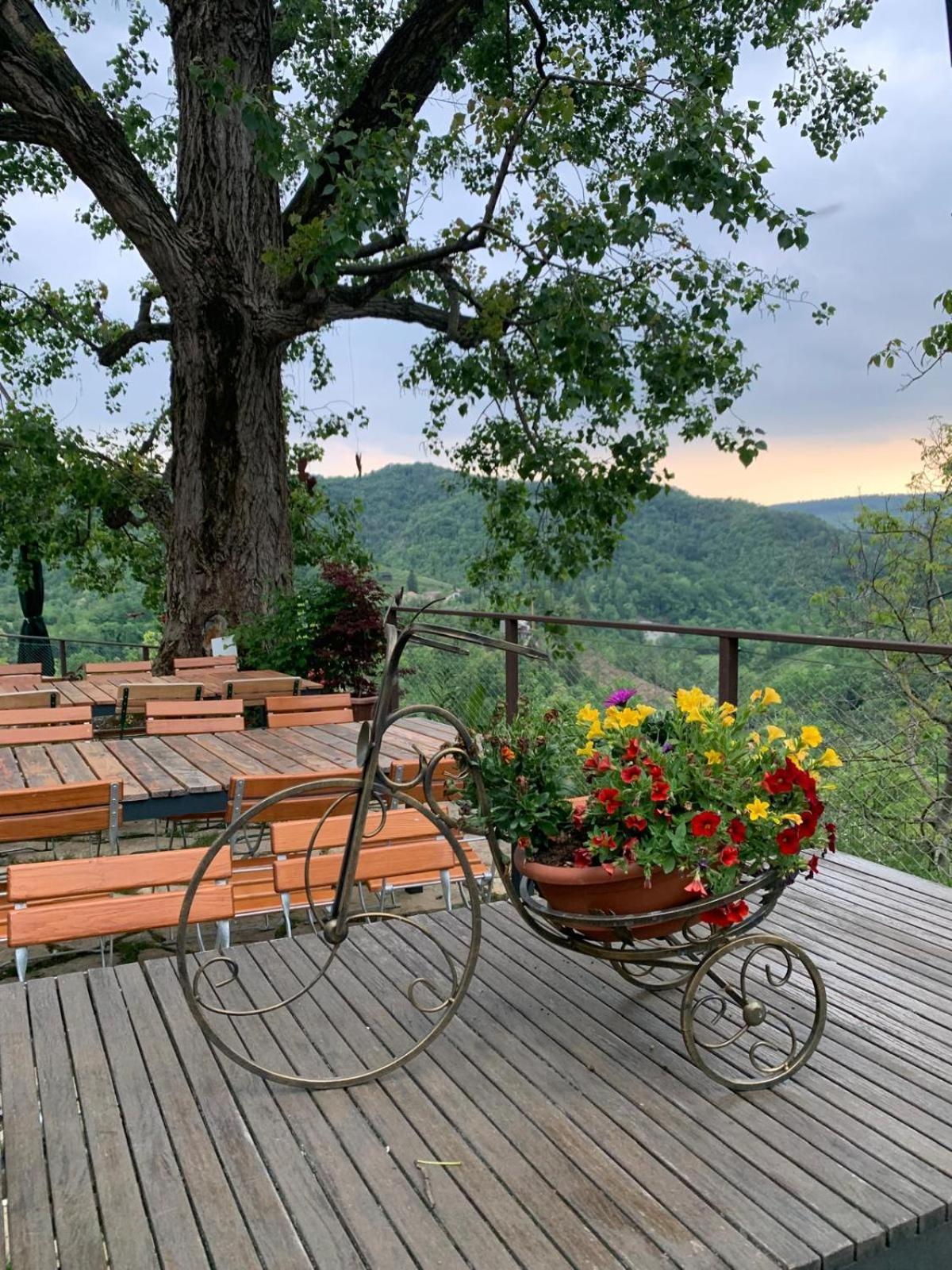 Agriturismo Le Noci Tarzo Eksteriør bilde